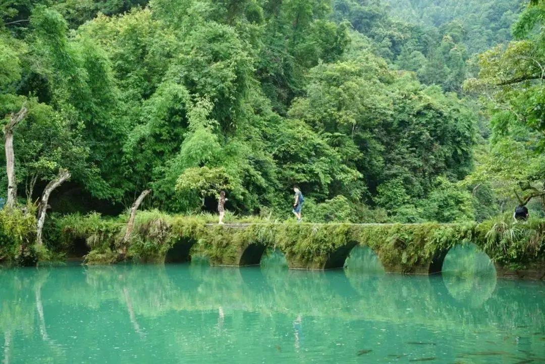 给小怪喂食
